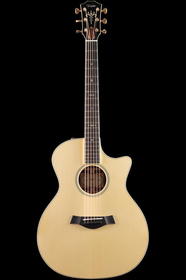 Taylor Willcutt Acoustic Suites Special Edition GAce Cocobolo (137)