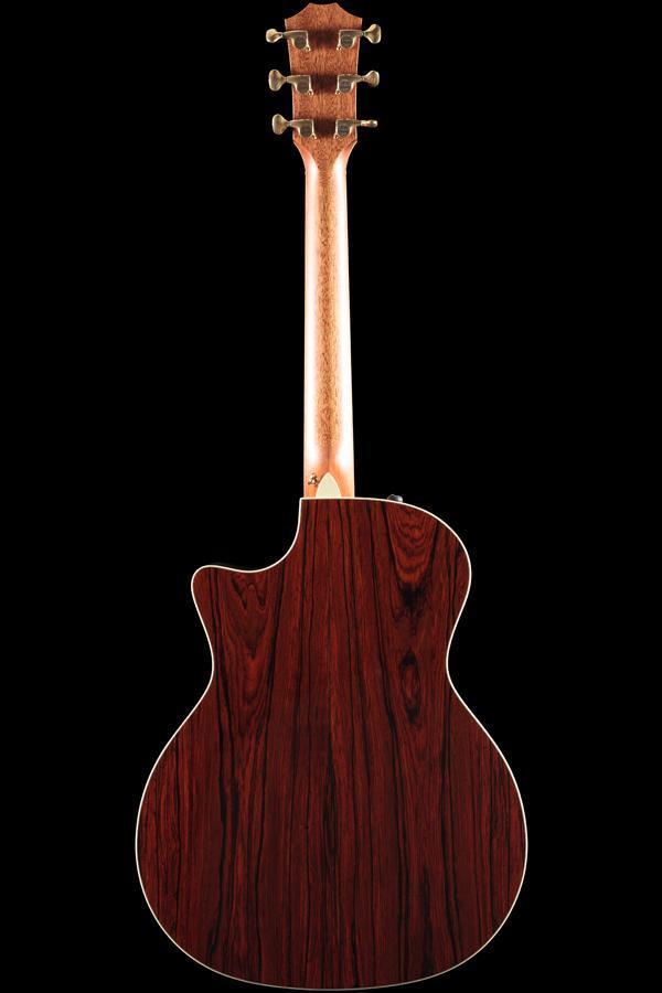 Taylor Willcutt Acoustic Suites Special Edition GAce Cocobolo (137)