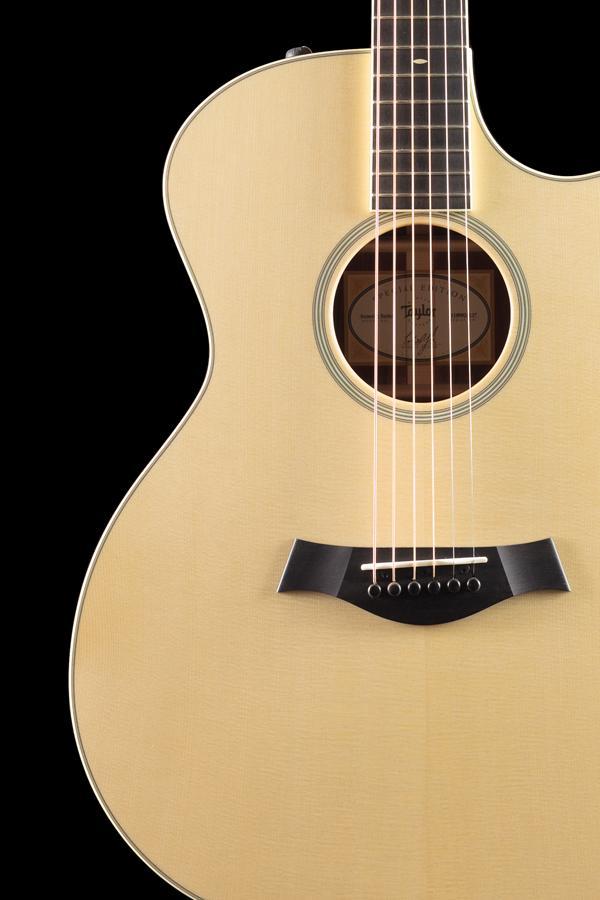 Taylor Willcutt Acoustic Suites Special Edition GAce Cocobolo (137)