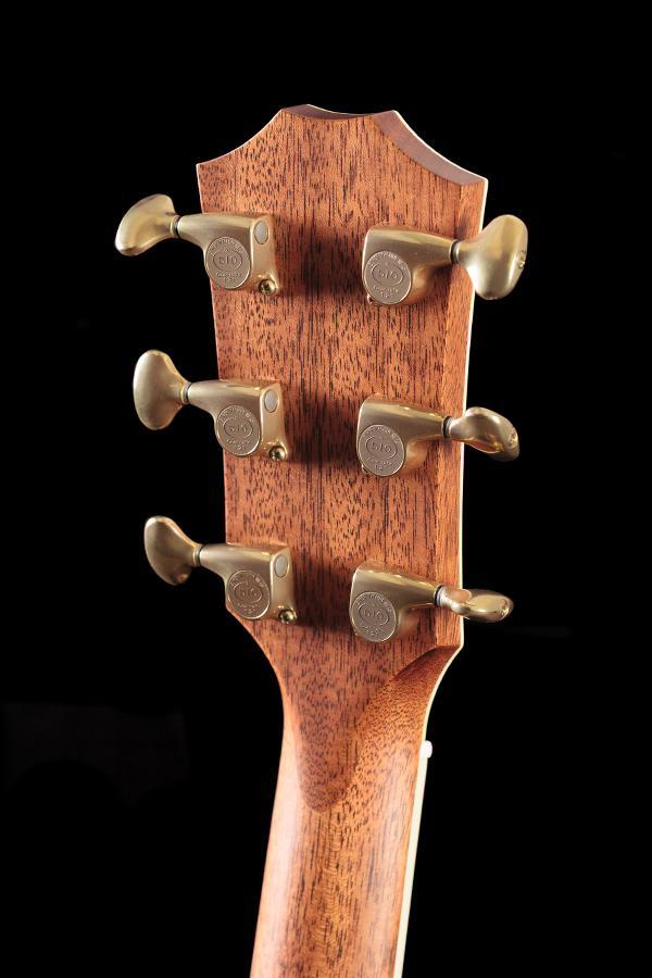 Taylor Willcutt Acoustic Suites Special Edition GAce Cocobolo (137)