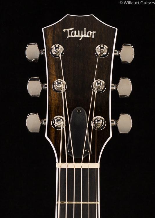Taylor T5z Standard Honey Burst (133)