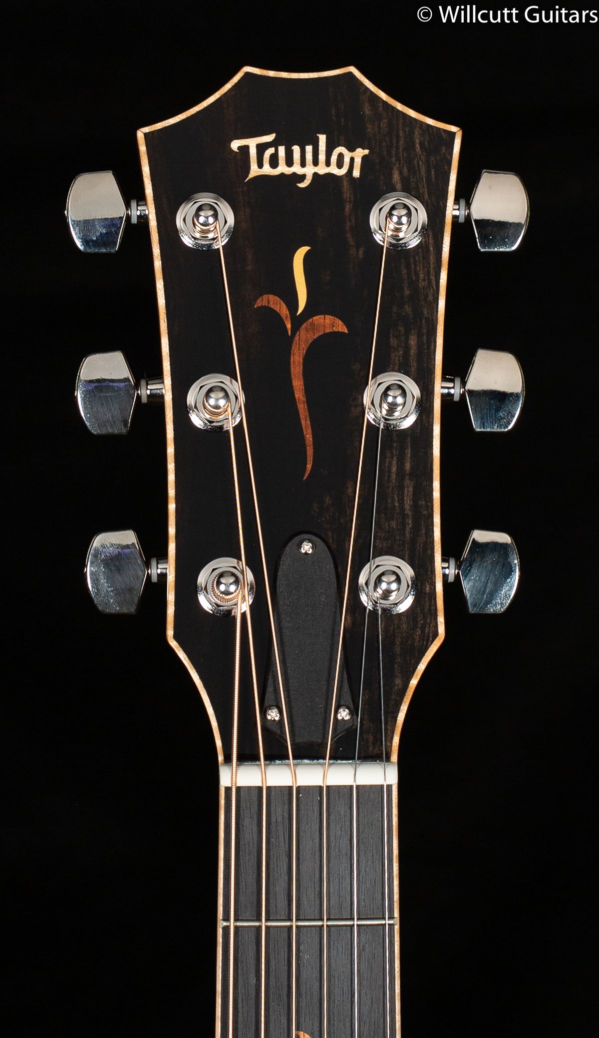 2017 NOS Taylor Grand Auditorium K24ce 12-Fret LTD