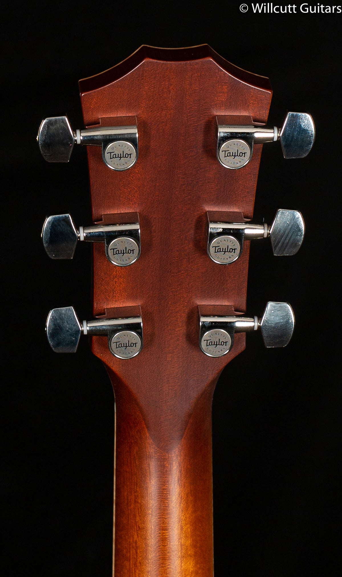 2017 NOS Taylor Grand Auditorium K24ce 12-Fret LTD