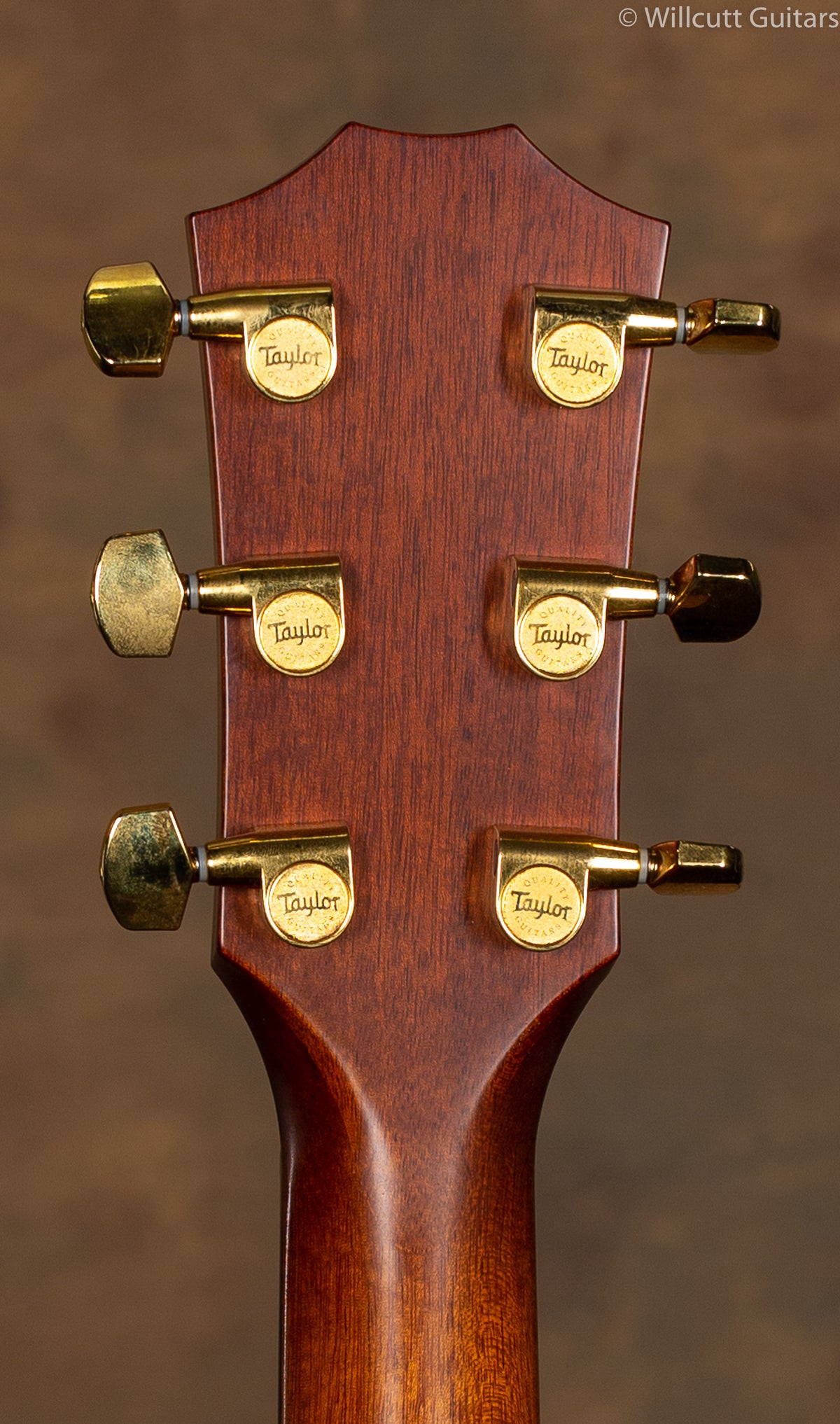 Taylor K24ce USED
