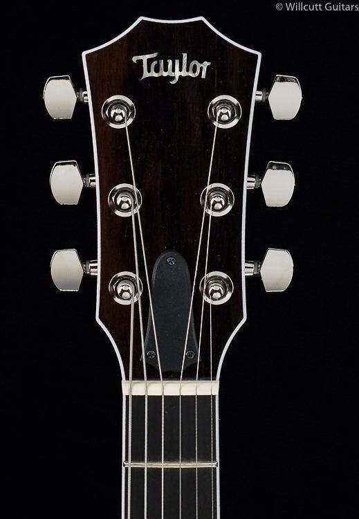 Taylor T5z Pro Molasses (127)