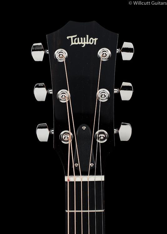 Taylor 516ce Florentine