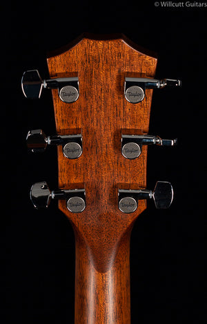 Taylor 517E Builders Edition V-Class Wild Honey Burst