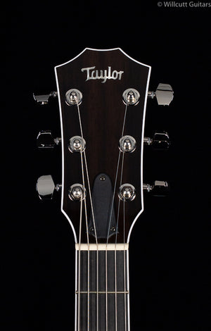 Taylor T5z Pro Denim Special Edition (120)
