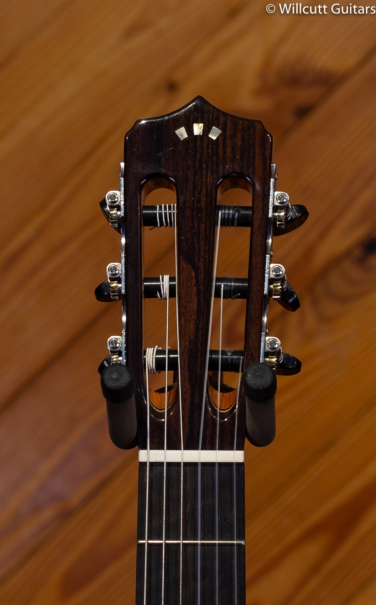 Cordoba Fusion 14 Maple w/ Gigbag DEMO