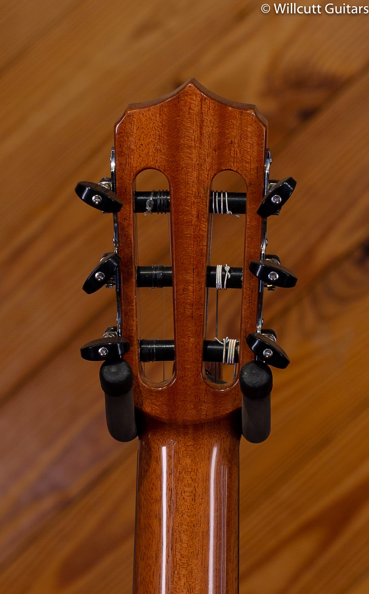 Cordoba Fusion 14 Maple w/ Gigbag DEMO