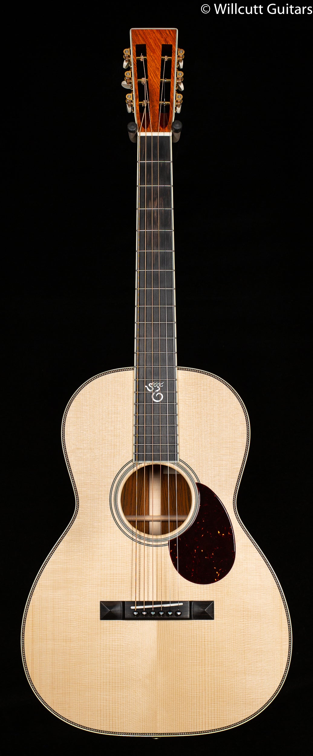 Santa Cruz Eric Skye Model