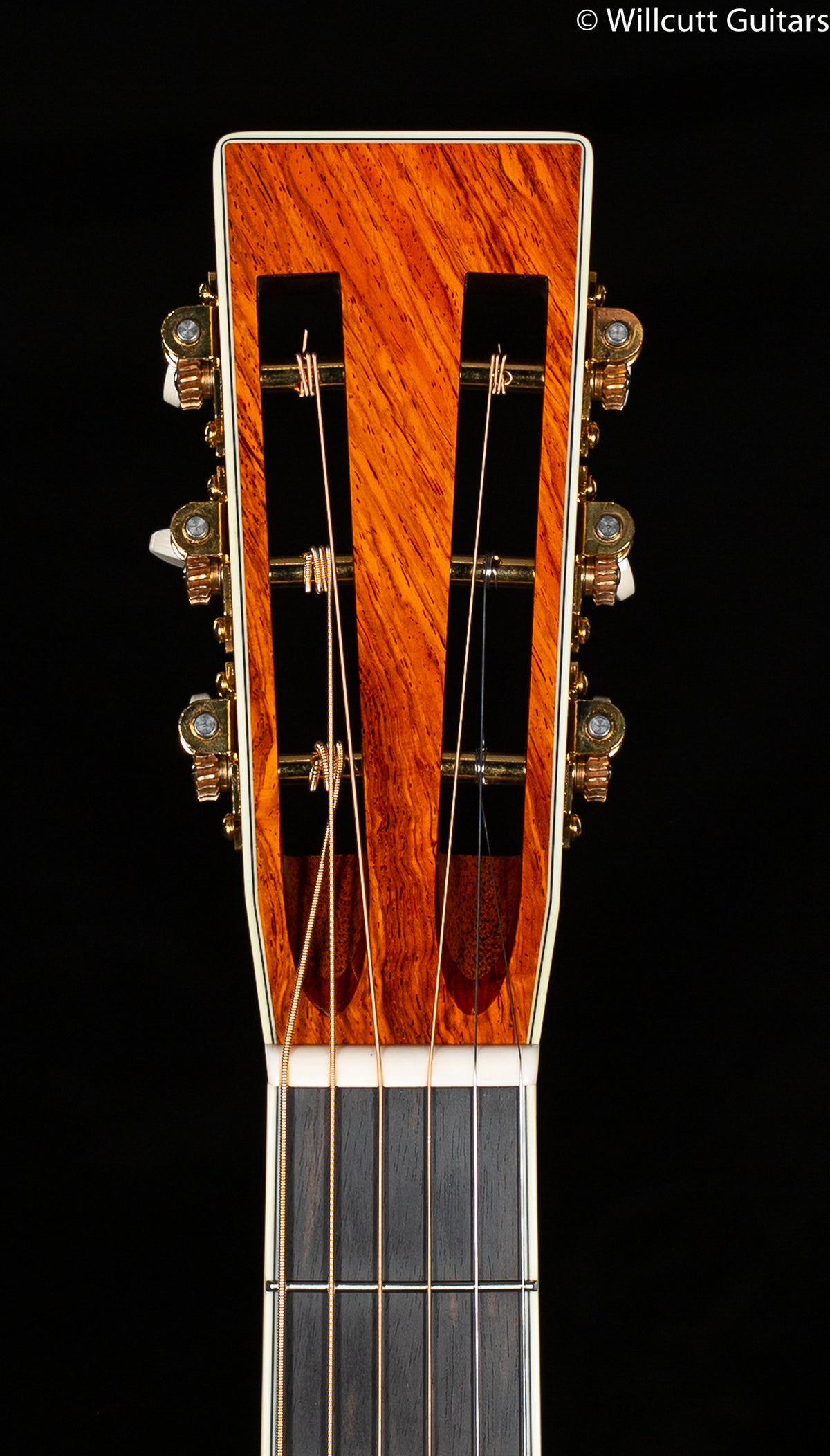 Santa Cruz Eric Skye Model