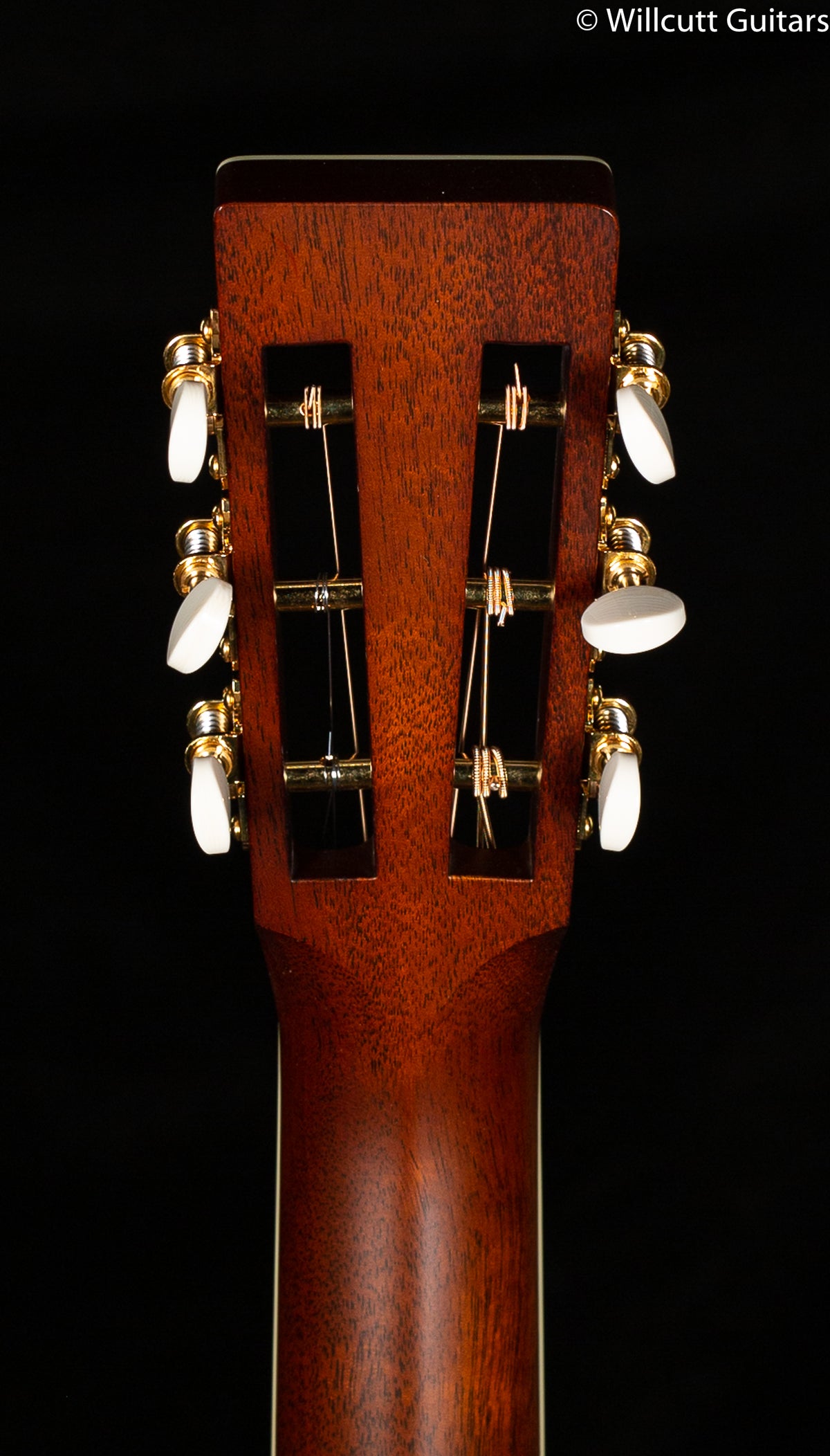 Santa Cruz Eric Skye Model