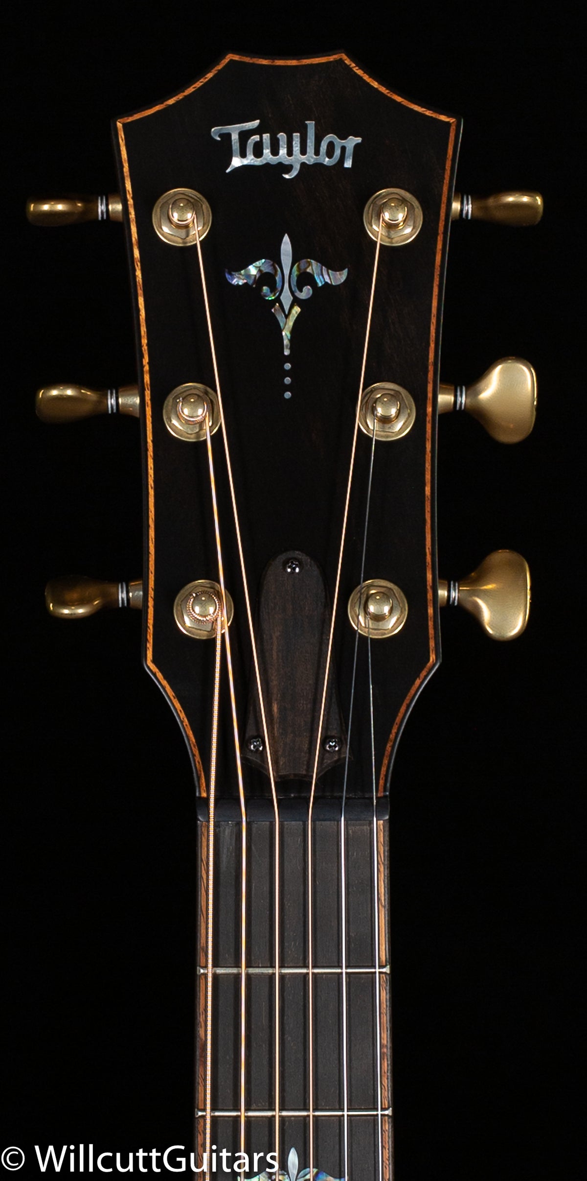 Taylor Builder's Edition 912ce Grand Concert Wild Honey Burst (059)