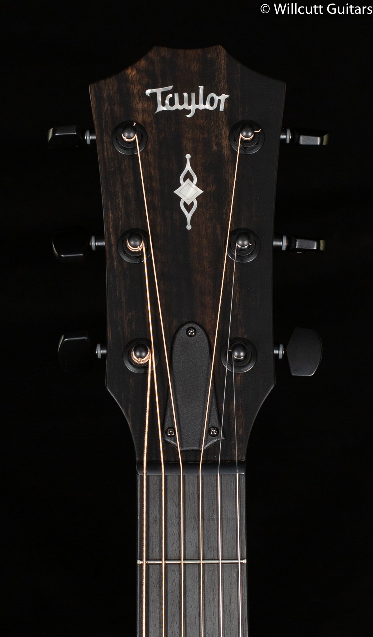 Taylor 324ce Shaded Edge Burst V-Class Bracing (172)
