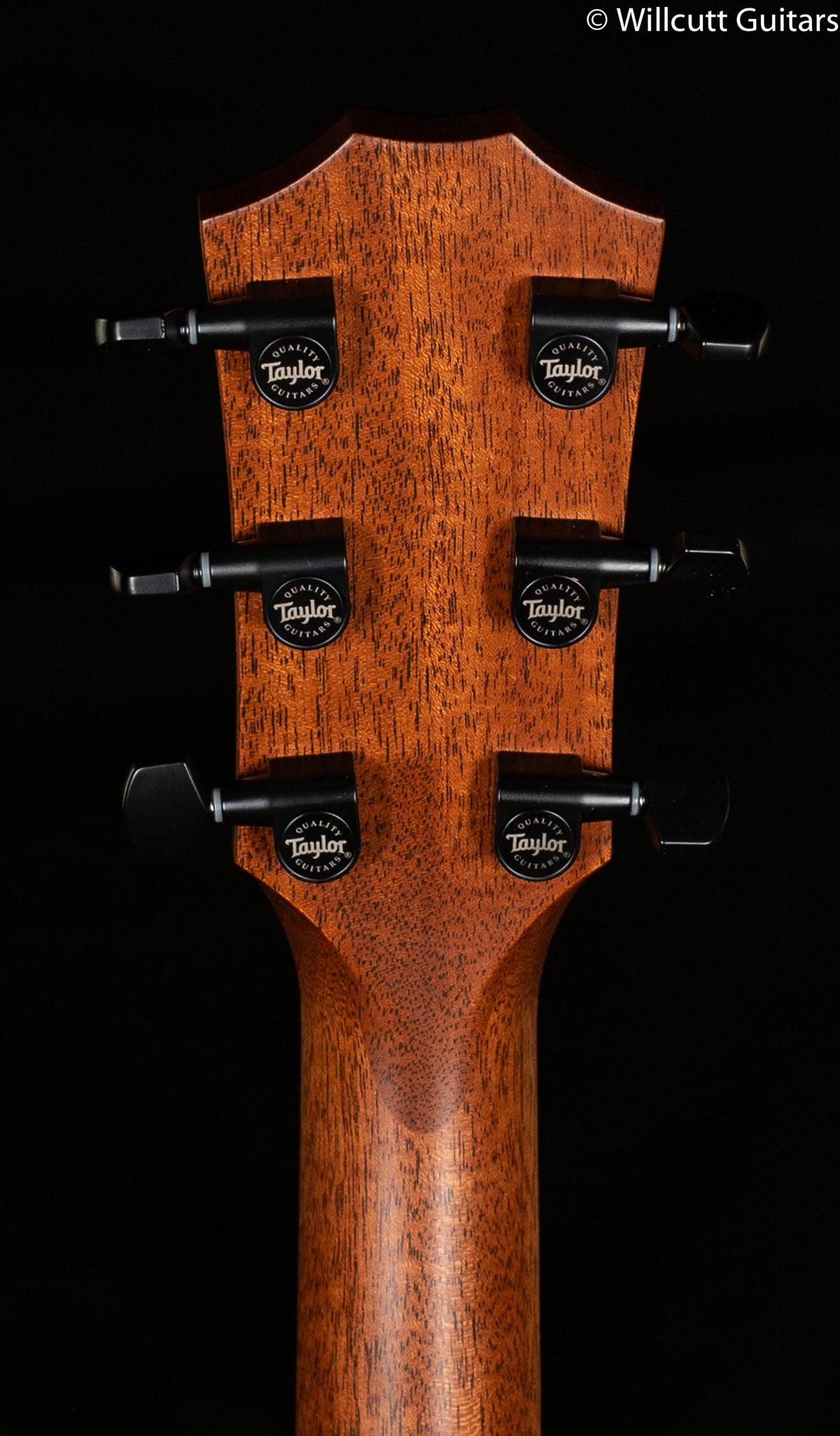 Taylor 324ce Shaded Edge Burst V-Class Bracing (172)