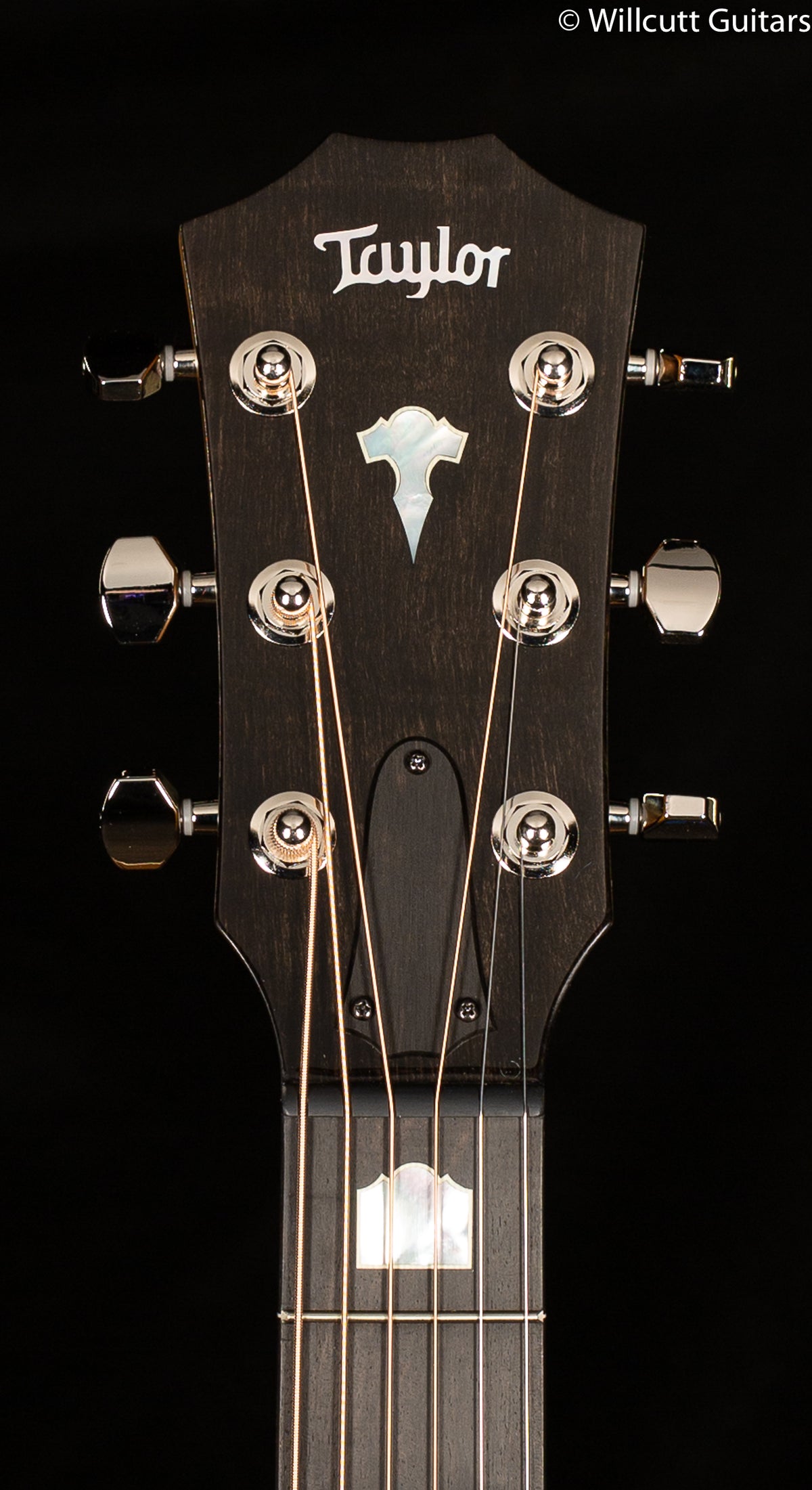 Taylor Grand Theater GT 611e LTD