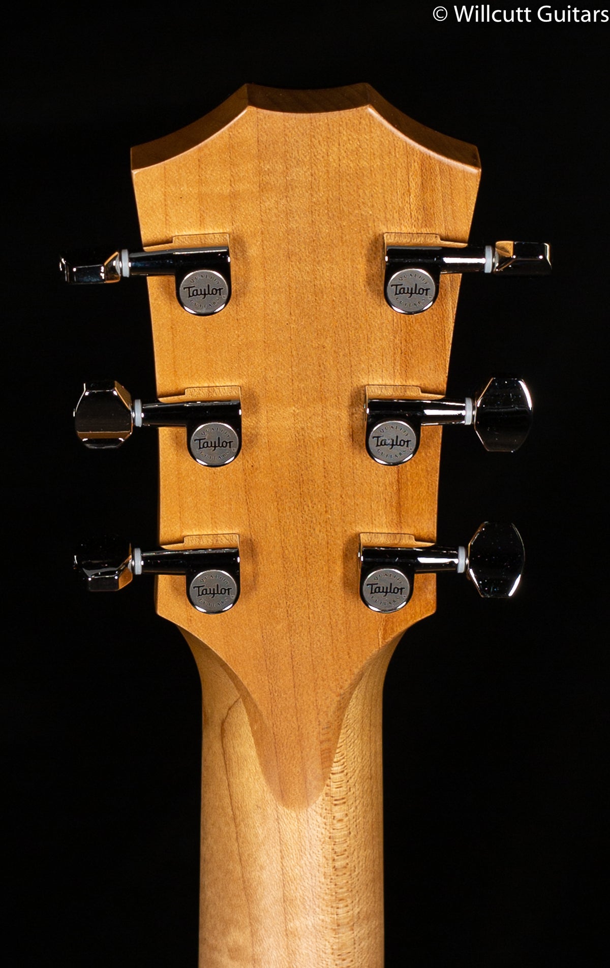 Taylor Grand Theater GT 611e LTD