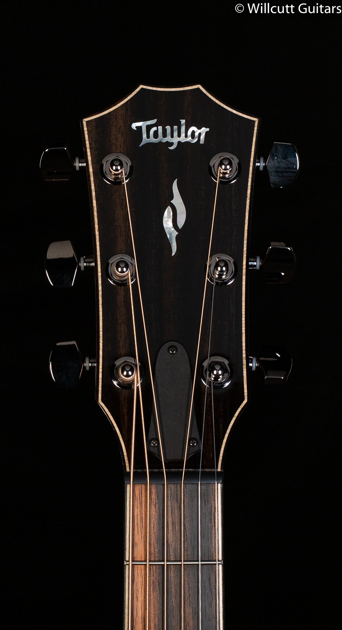 Taylor 814ce Radius Armrest V-Class Bracing (047)