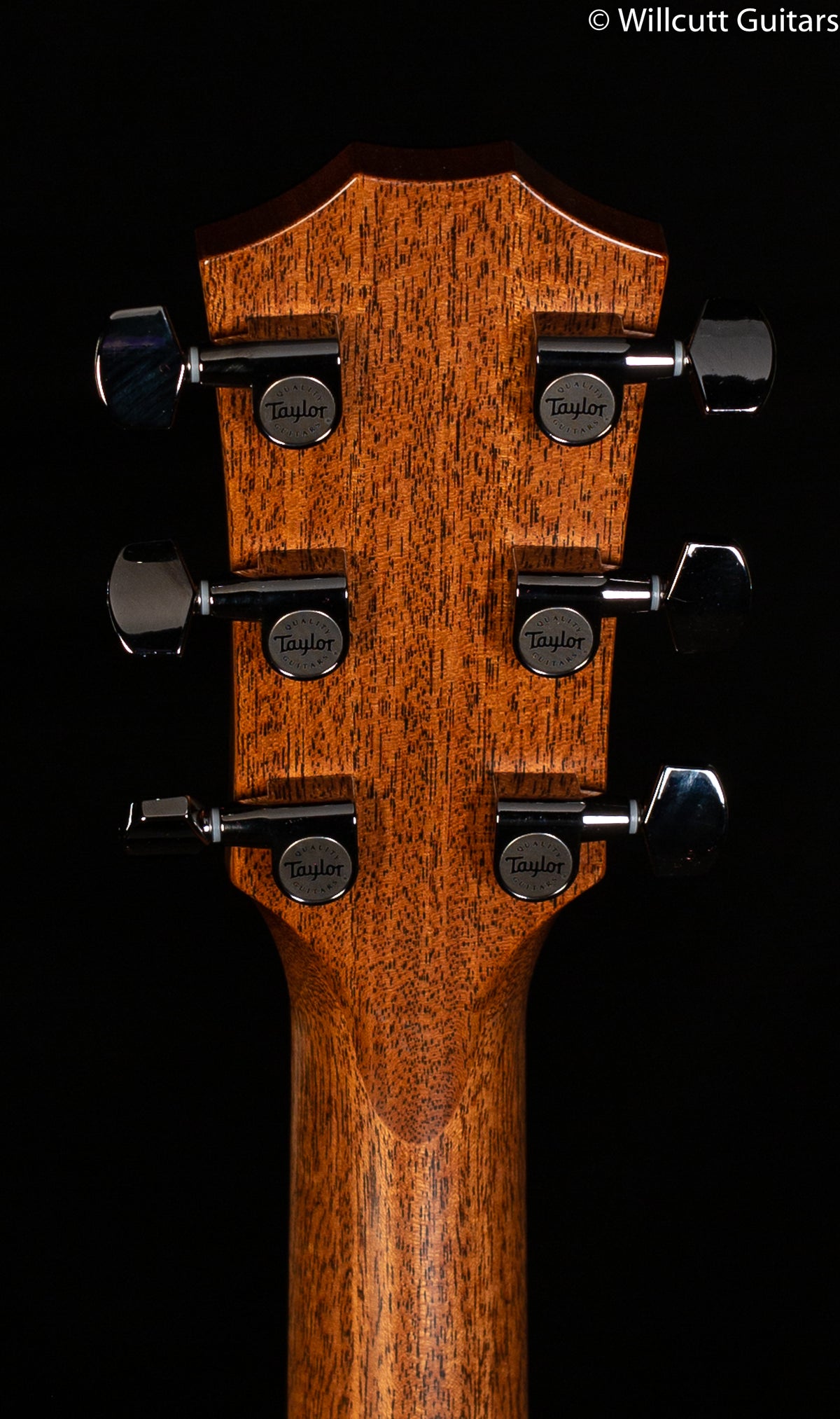 Taylor 814ce Radius Armrest V-Class Bracing (047)