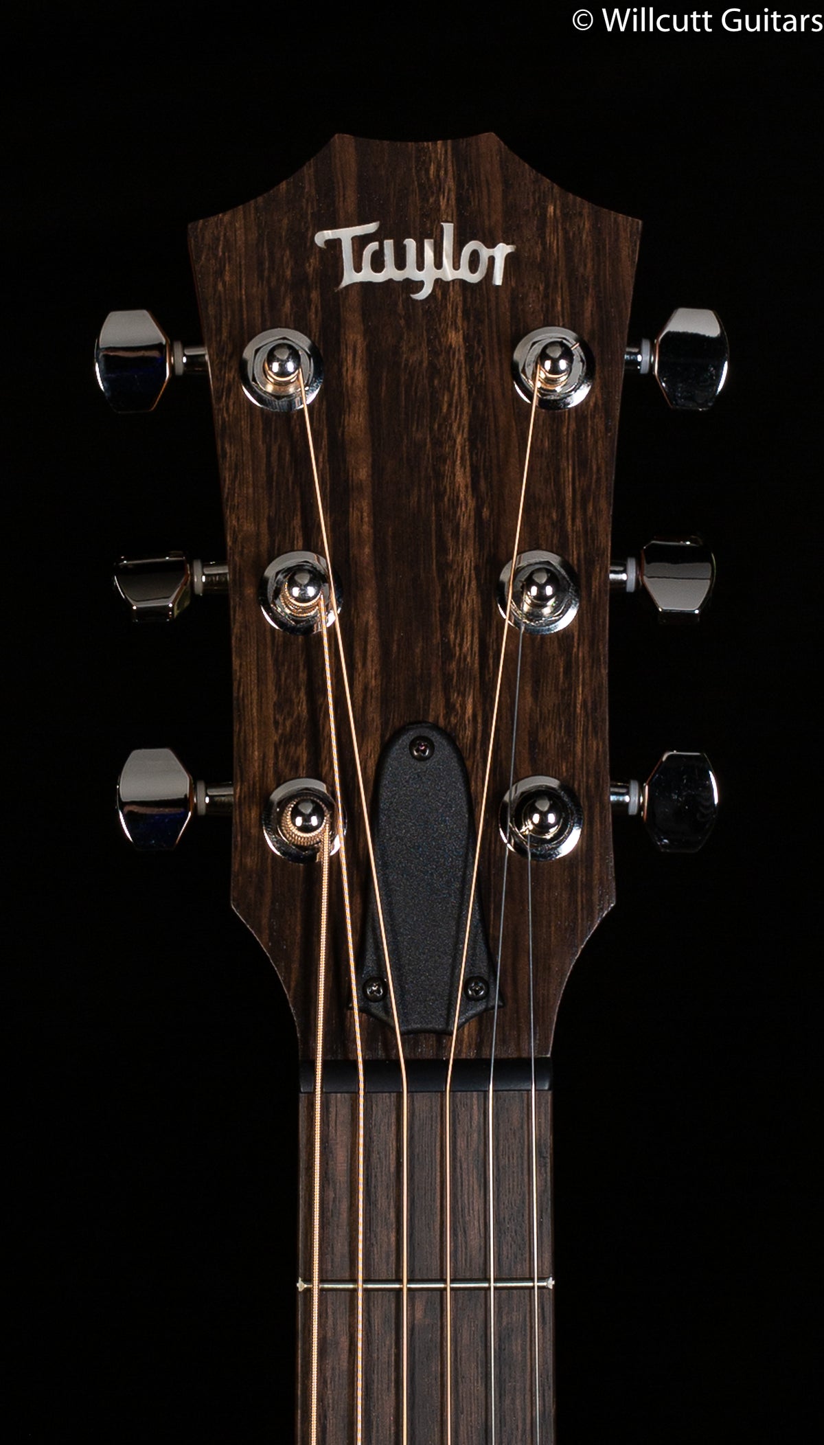 Taylor GTe Grand Theatre Urban Ash (121)