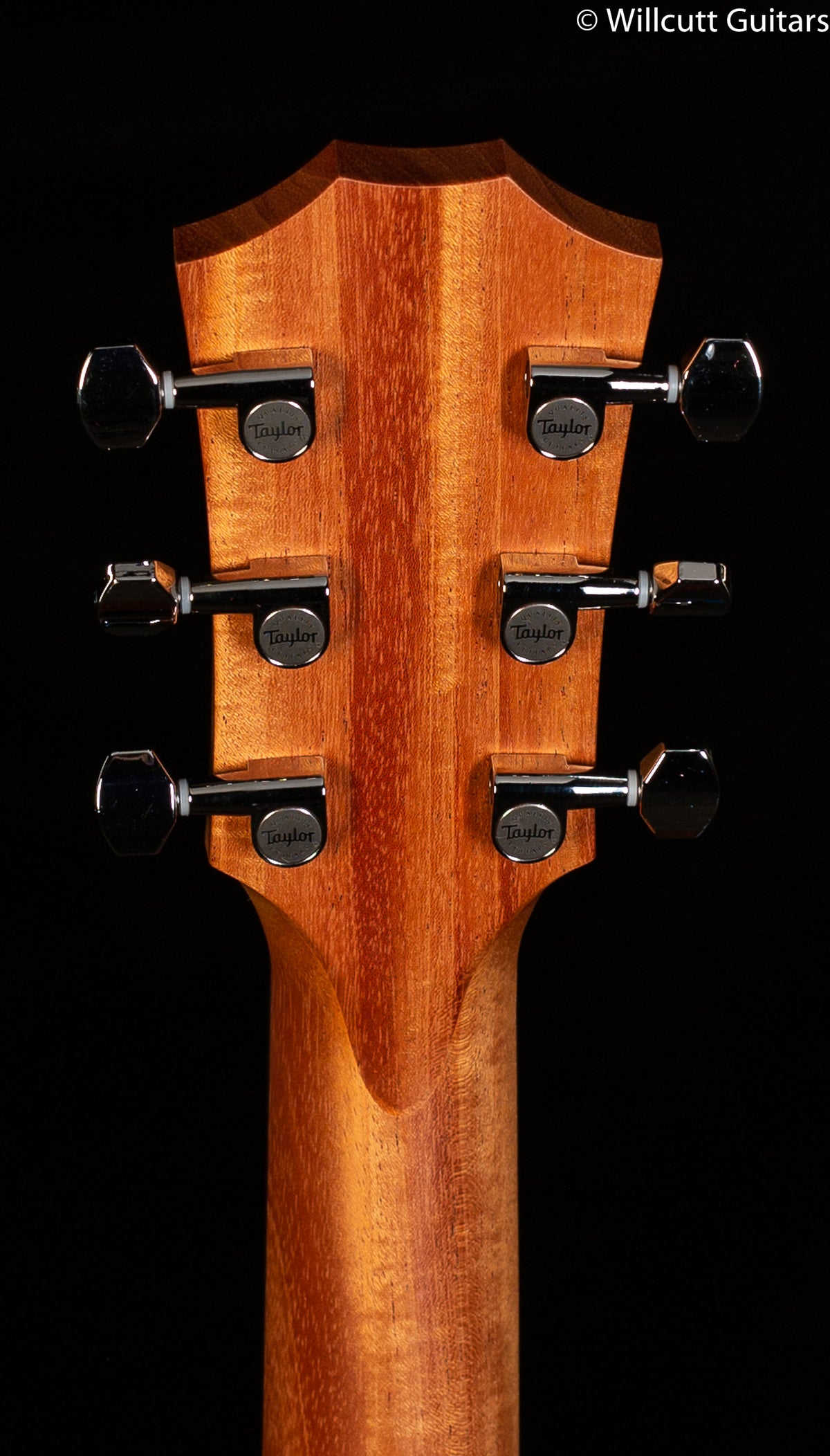 Taylor GTe Grand Theatre Urban Ash (121)