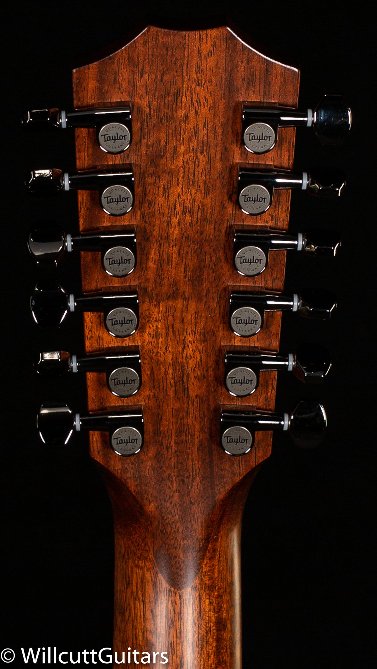 Taylor 858e LTD,Rosewood/Sitka,V-Class(R)Bracing Radius Armrest (111)