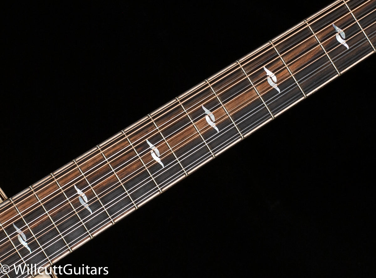 Taylor 858e LTD,Rosewood/Sitka,V-Class(R)Bracing Radius Armrest (111)