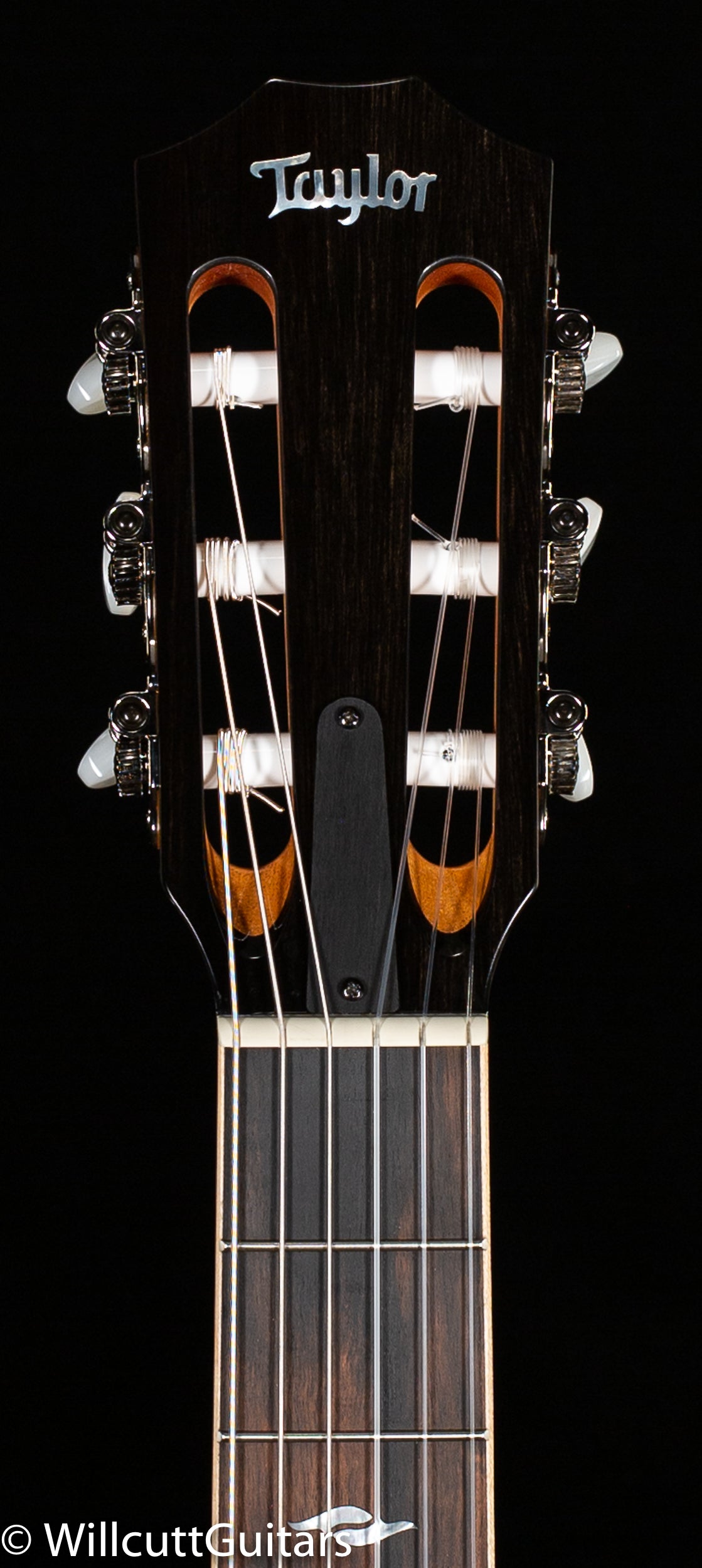 Taylor 814ce-N (057)