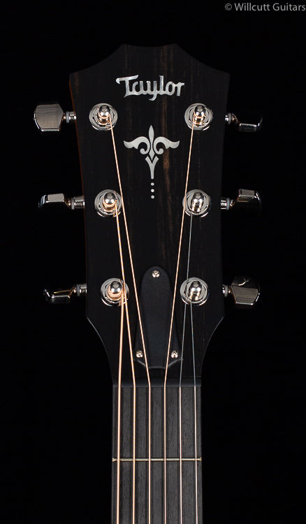 Taylor E14ce V-Class