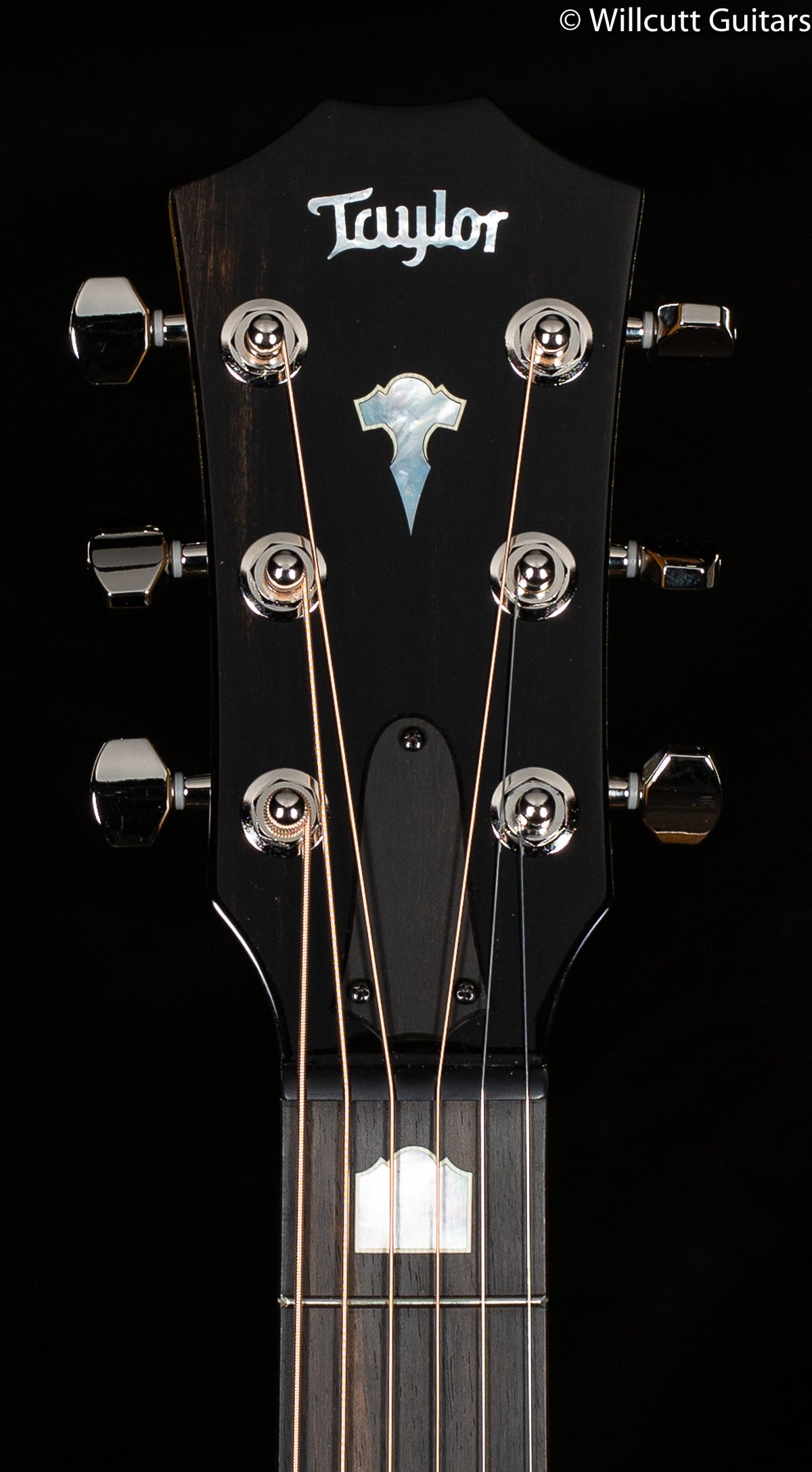 Taylor Grand Theater GT 611e LTD