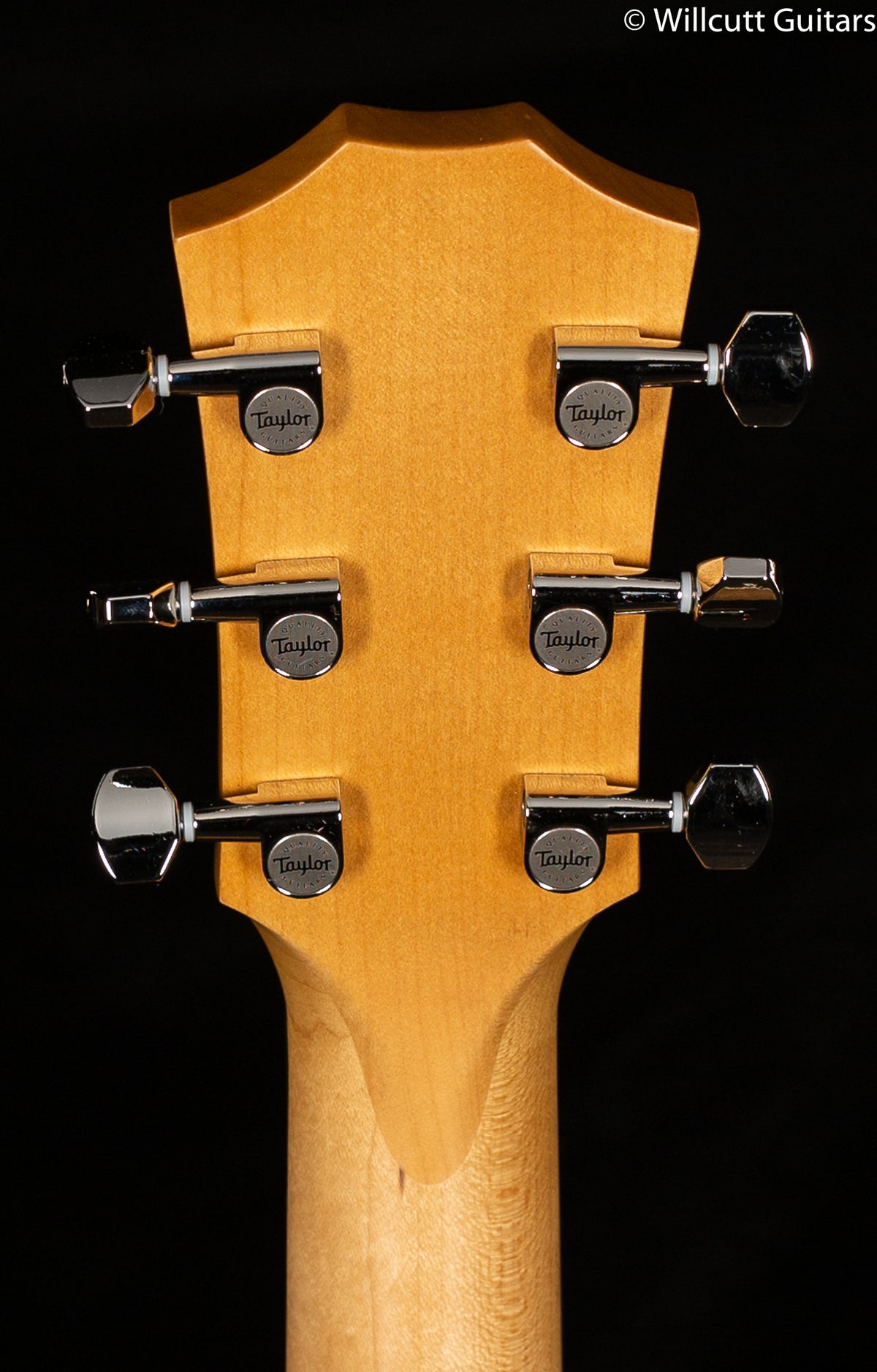 Taylor Grand Theater GT 611e LTD