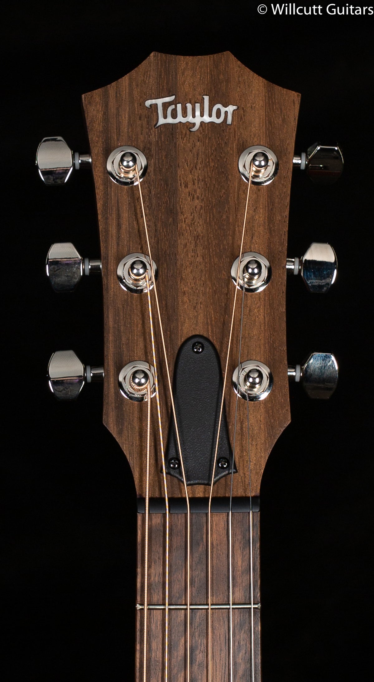 Taylor GTe Grand Theatre Mahogany