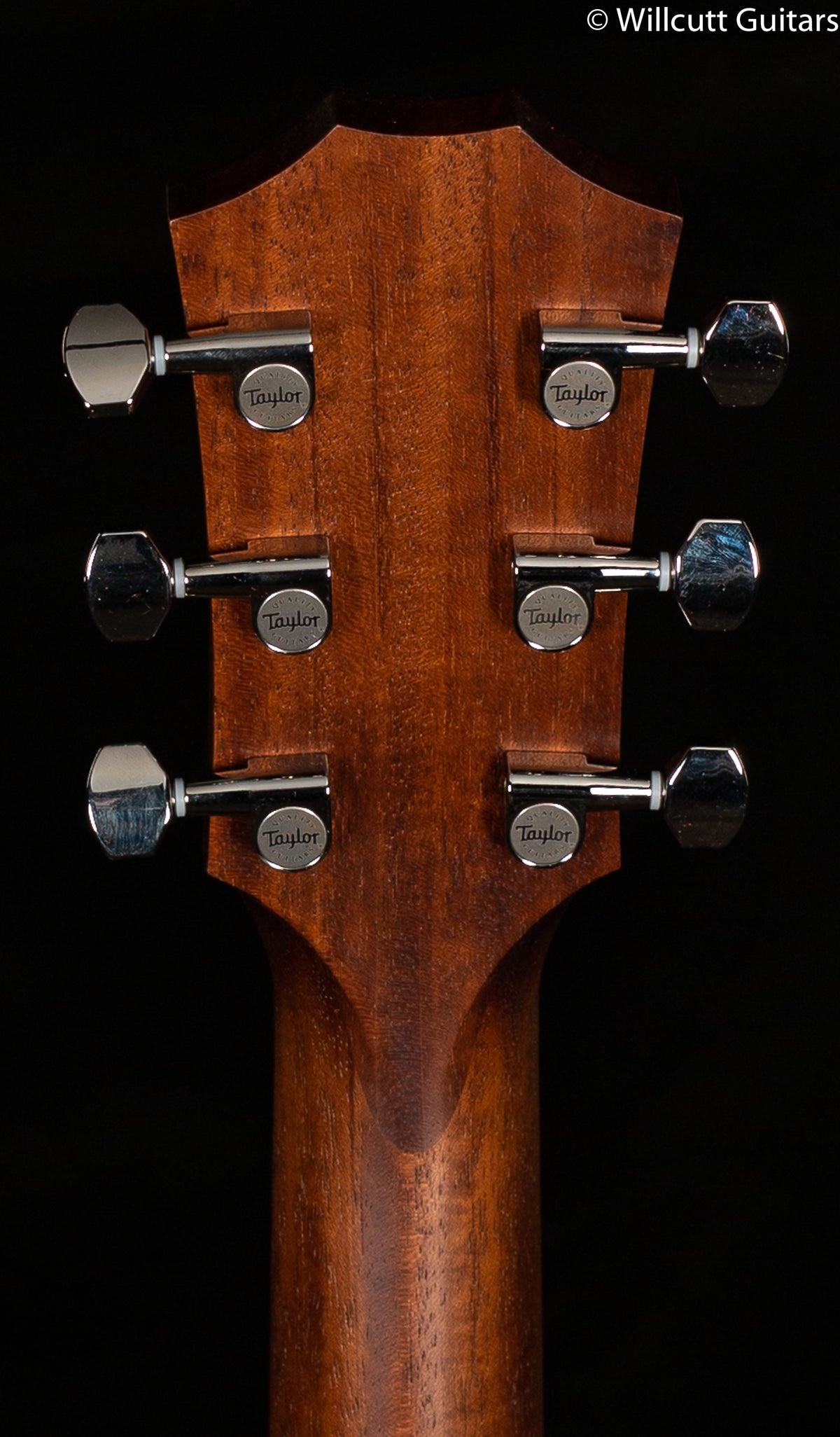 Taylor GTe Grand Theatre Mahogany