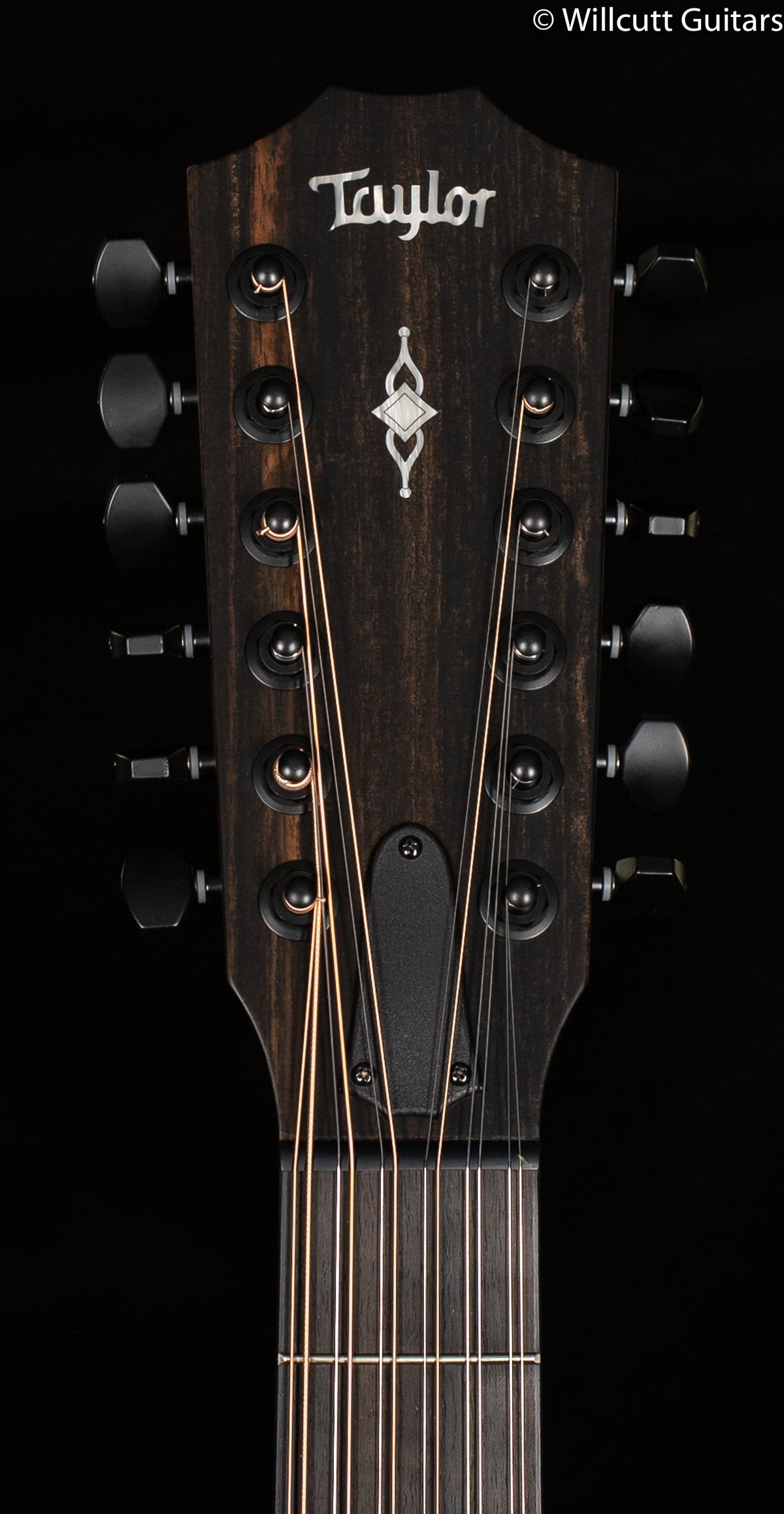 Taylor 362ce 12 String V-Class