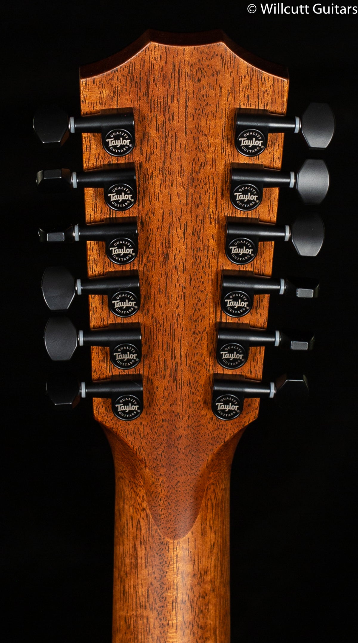 Taylor 362ce 12 String V-Class