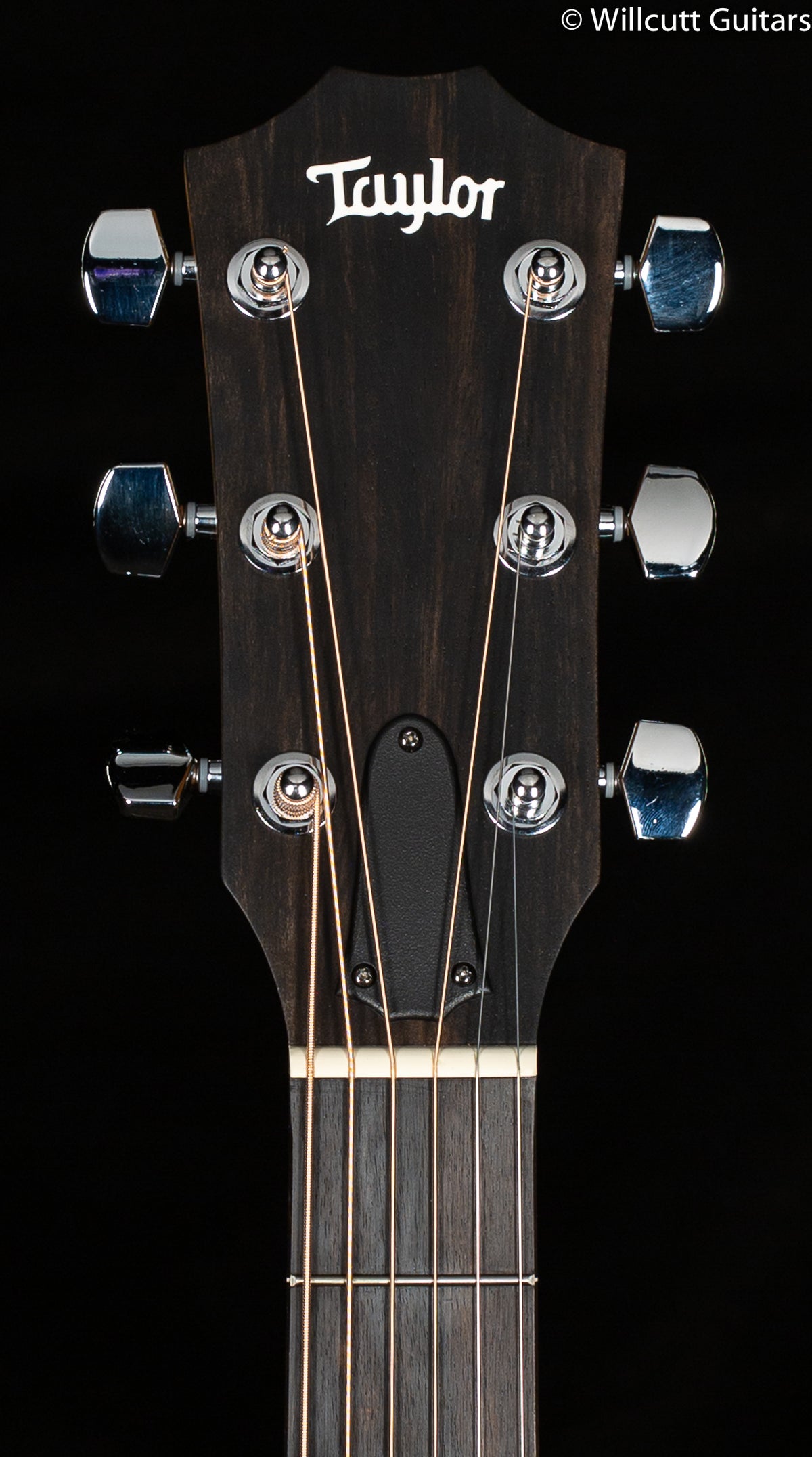 Taylor 324ce Shaded Edge Burst V-Class Bracing - Willcutt
