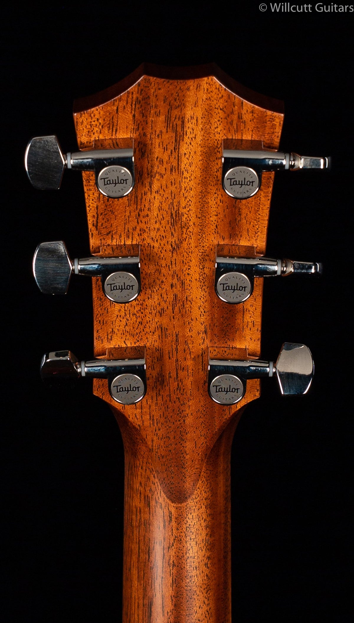 Taylor 314ce V-Class