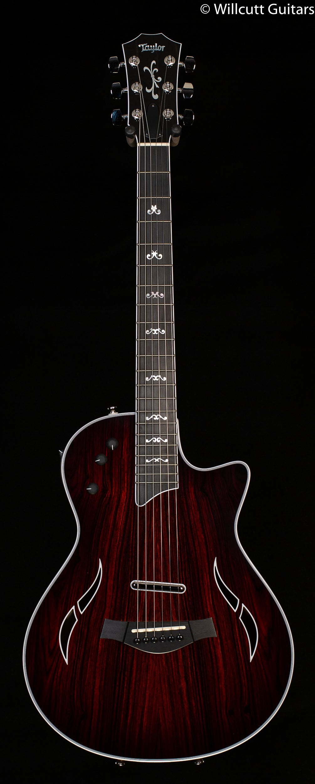 Taylor T5z Custom Cocobolo Nickel Hardware