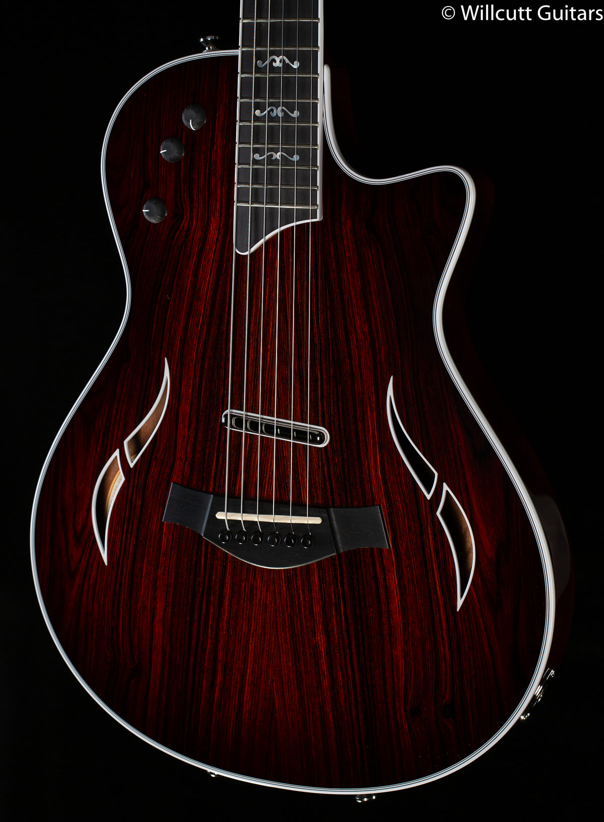 Taylor T5z Custom Cocobolo Nickel Hardware