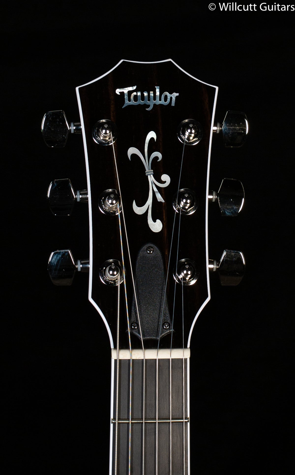Taylor T5z Custom Cocobolo Nickel Hardware
