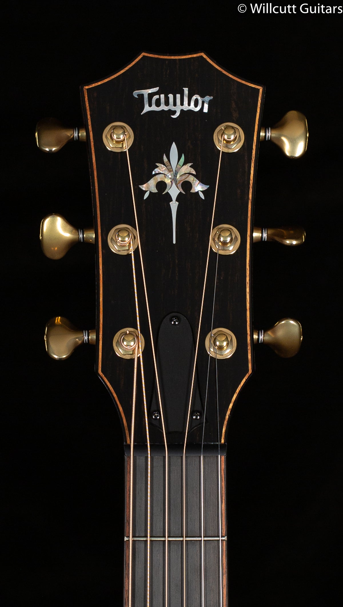 Taylor 914ce Tobacco Sunburst