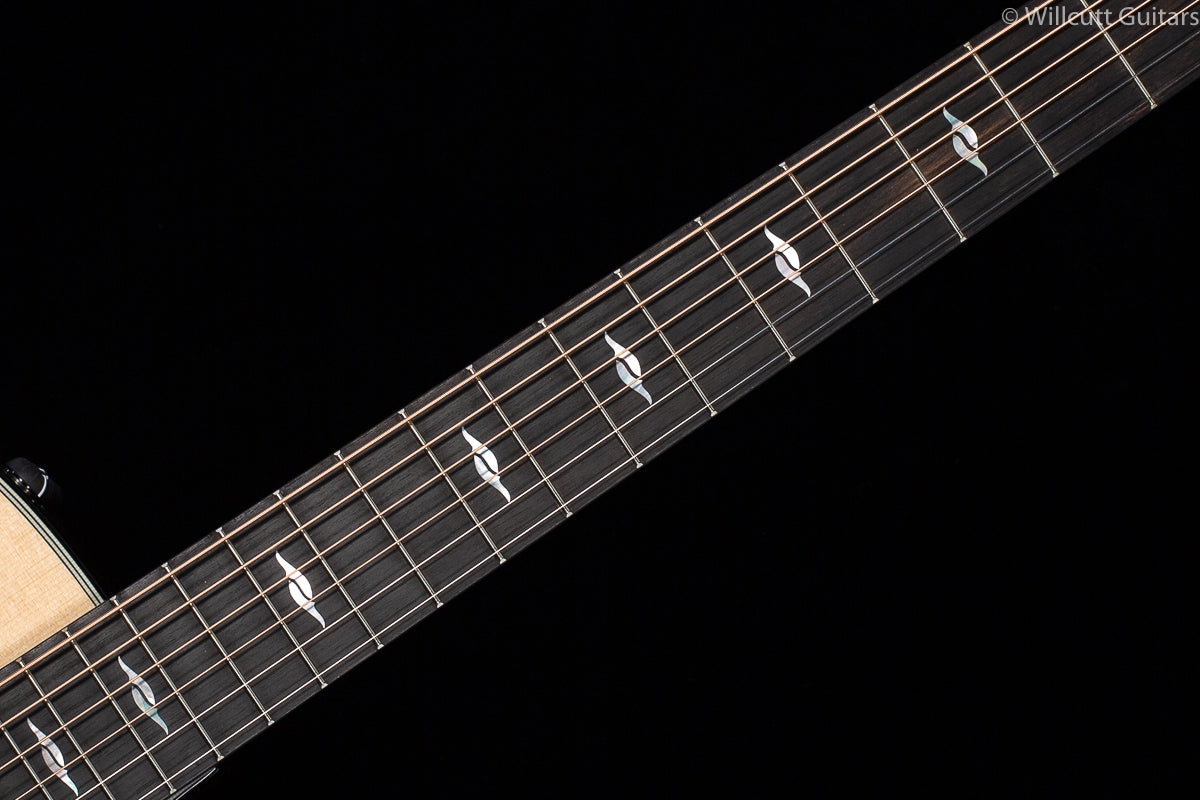 Taylor 814ce V-Class Cocobolo LTD