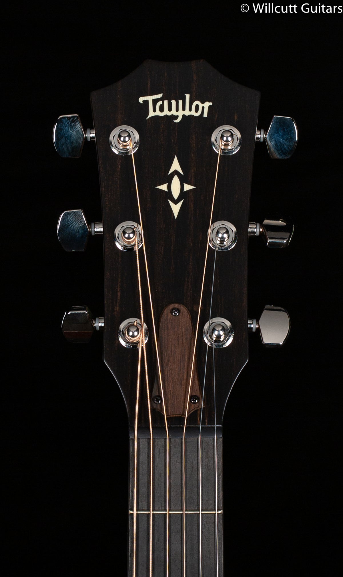 2020 Taylor Builder&#39;s Edition 517 V-Class Bracing