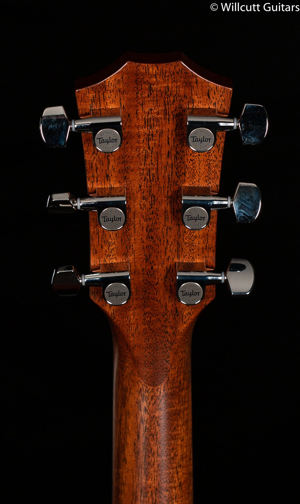 2020 Taylor Builder&#39;s Edition 517 V-Class Bracing