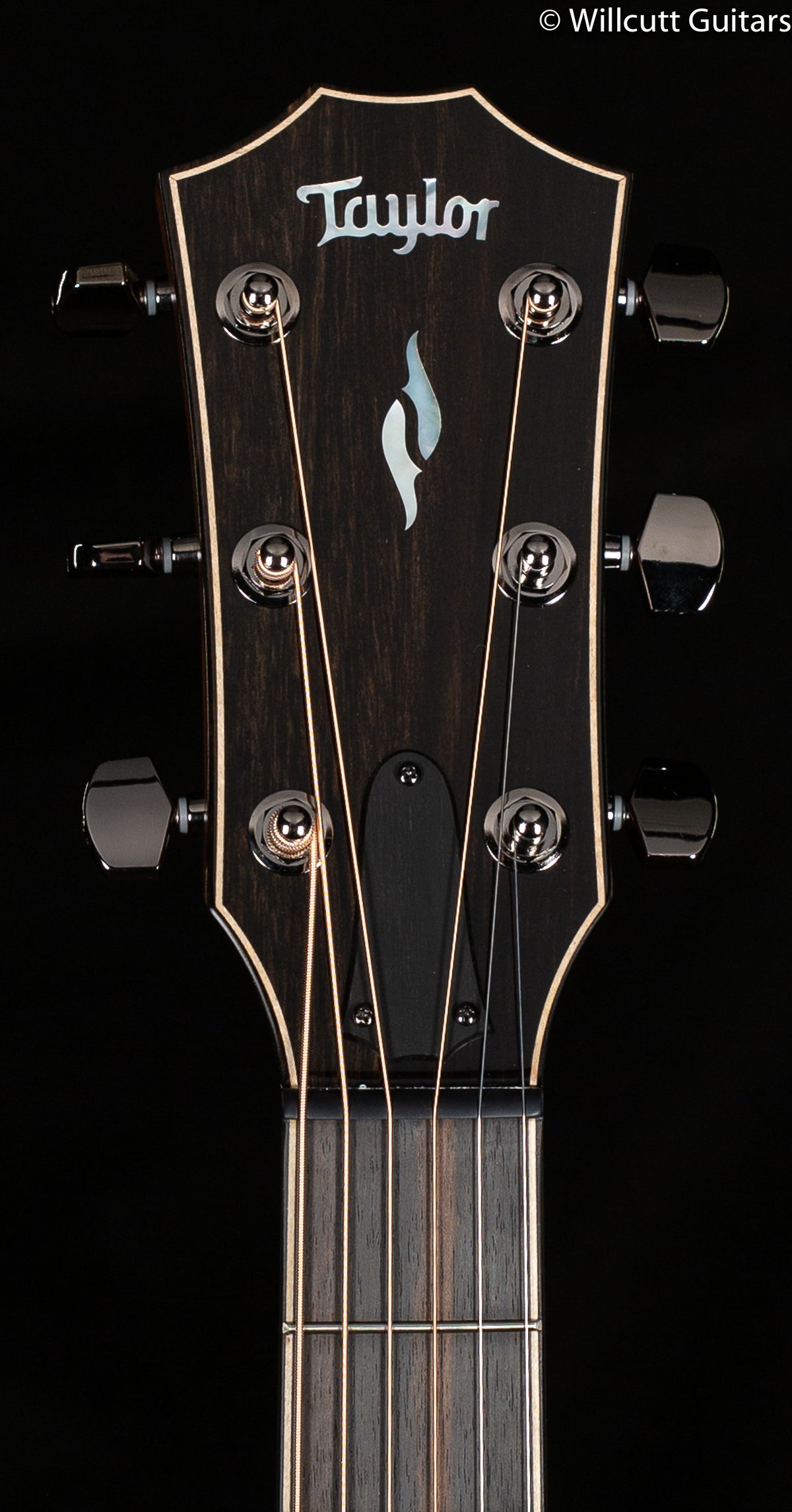 Taylor 814c Sunburst Radius Armrest