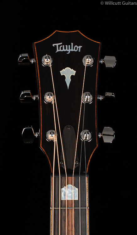 Taylor 818e V-Class (104)