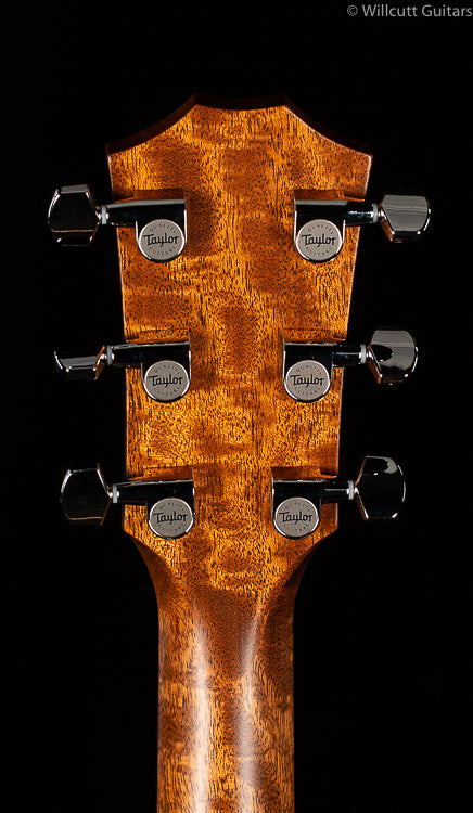 Taylor 818e V-Class (104)