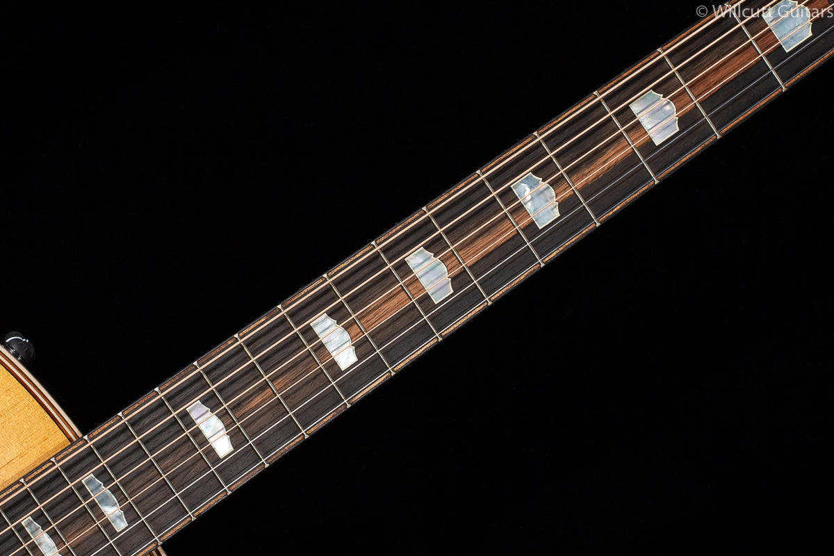 Taylor 818e V-Class (104)