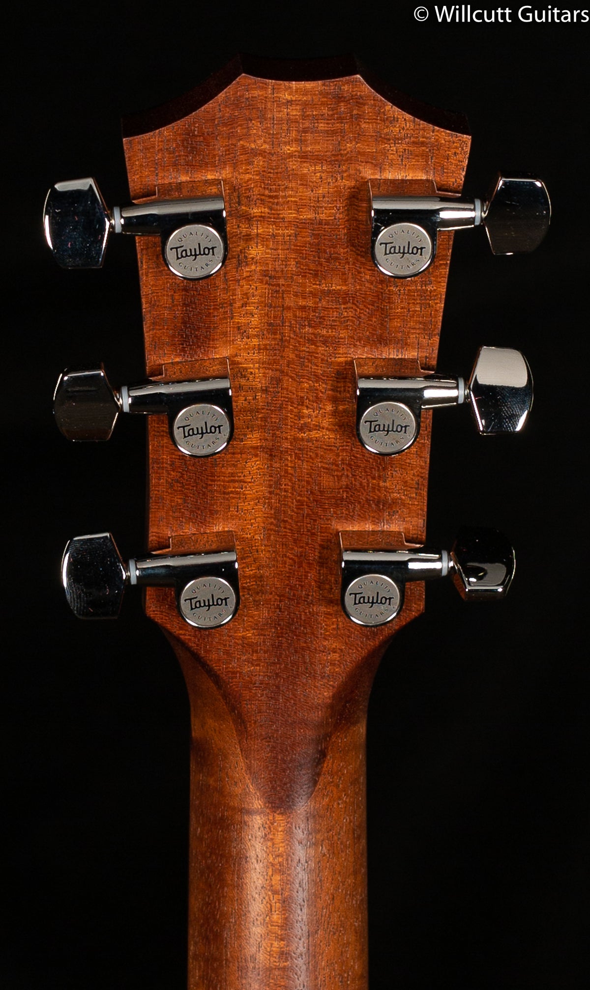 Taylor American Dream AD17e Ovangkol Spruce Blacktop (029)